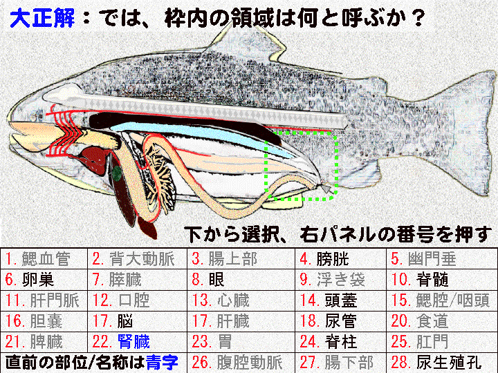 SWAP1